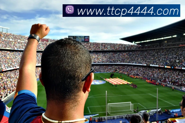 天天彩票官方网站品牌故事